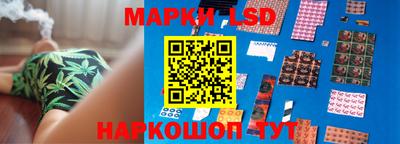 индика Ижевск