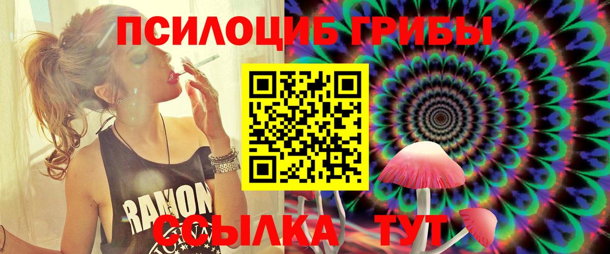 Псилоцибиновые грибы MAGIC MUSHROOMS Курчатов